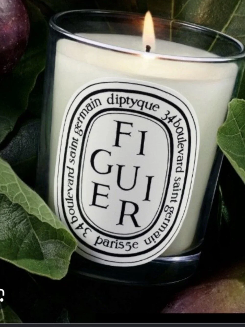 Diptyque Fig Tree Candle